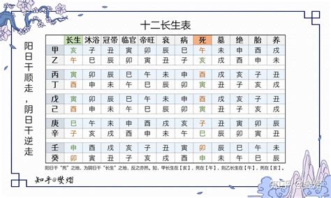 十二長生|八字算命基礎——十二長生